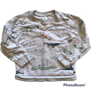 3/$20 Carter’s sweatshirt